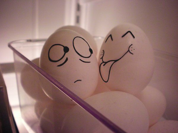 600x449, 29 Kb / яйца, рожи