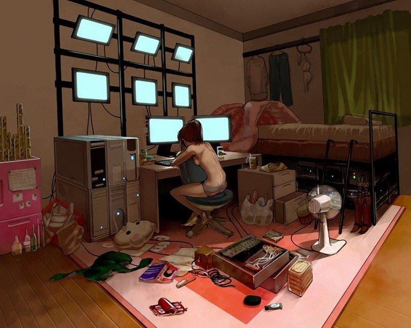 807x645, 111 Kb / Комната, бардак, айтишница, компы, девушка, компьютер