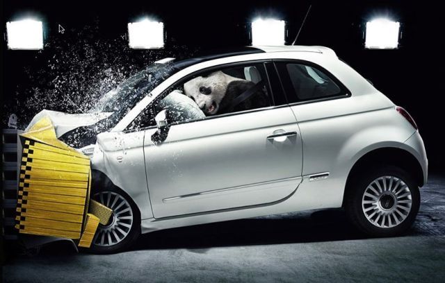 640x408, 47 Kb / краш тест, панда