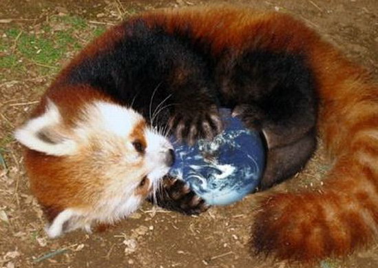 549x389, 66 Kb / Firefox