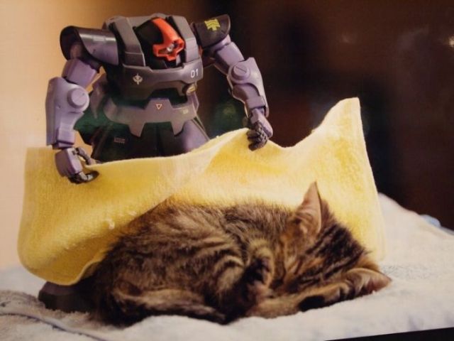 640x480, 37 Kb / котёнок, трансформер, игрушка