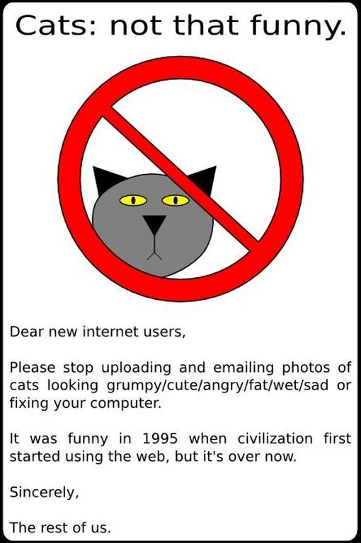 510x768, 56 Kb / кошки