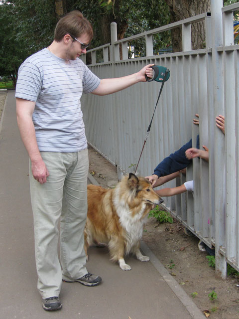 480x640, 92 Kb / собака, дети, зомби, детский сад