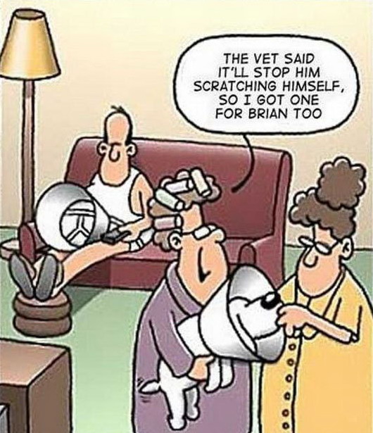 530x615, 99 Kb / карикатура