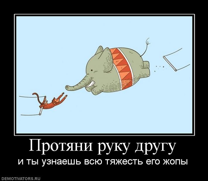 710x620, 39 Kb / слон, помощь, жопа