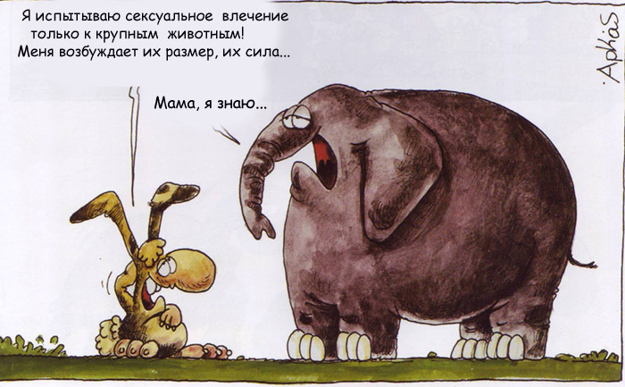 700x433, 97 Kb / слон, заяц, мама, влечение, животные