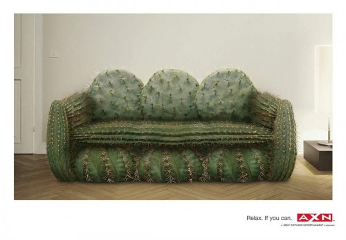 500x348, 27 Kb / диван, кактус