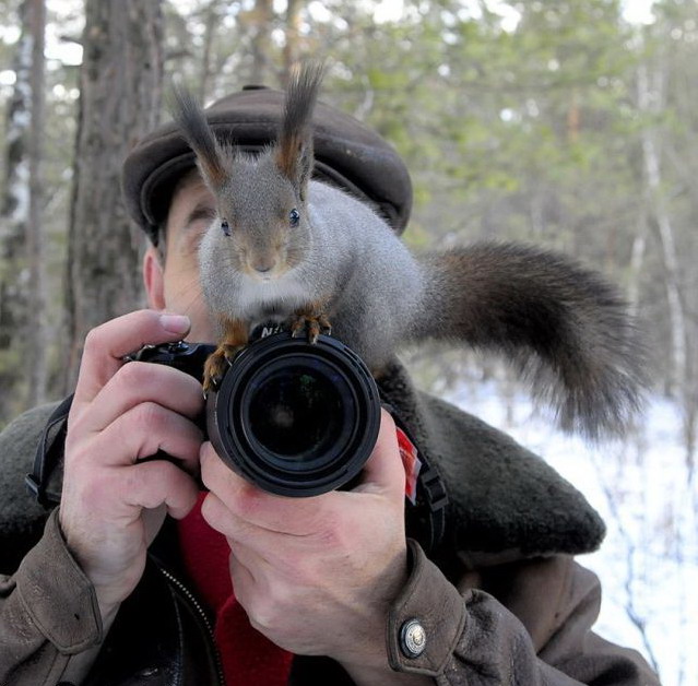 639x628, 101 Kb / белка, фотоаппарат