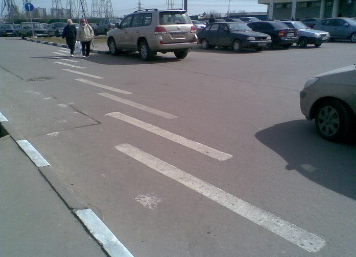 697x504, 78 Kb / зебра, идиотизм, пешеходы