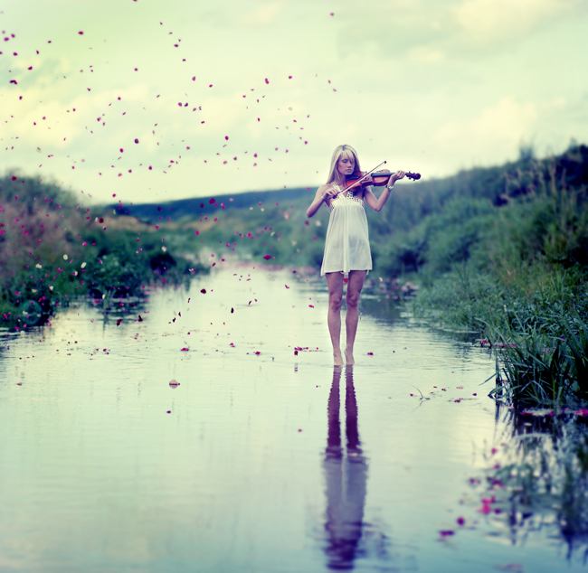 650x634, 260 Kb / скрипка, лепестки, вода, отражение, блондинка