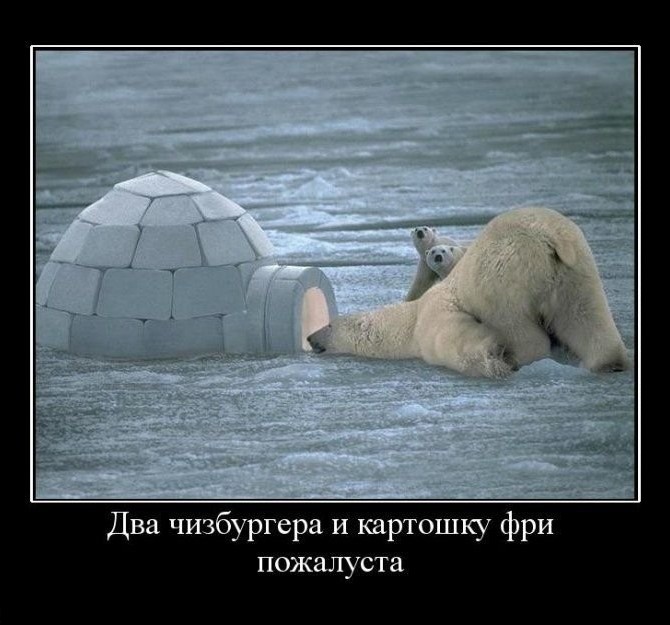 670x625, 84 Kb / мишка на севере