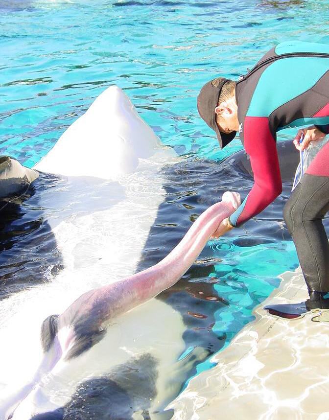 672x858, 97 Kb / хуй