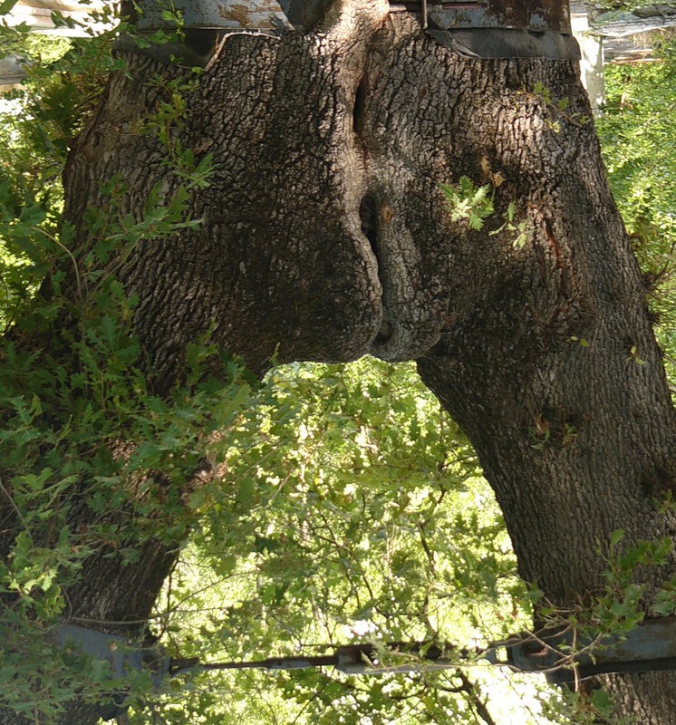 746x800, 251 Kb / БДСМ