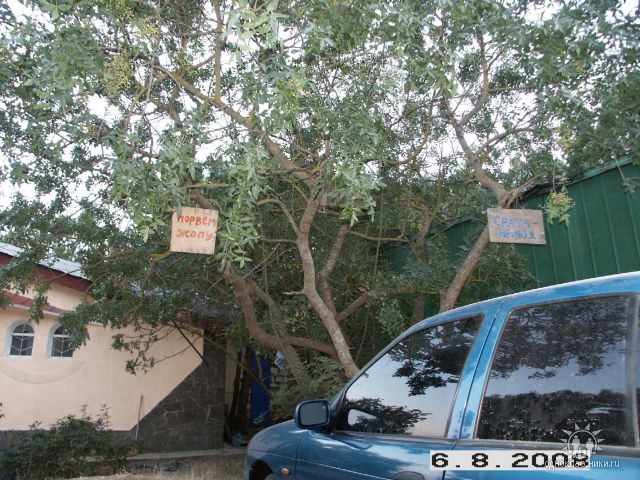 640x480, 96 Kb / крым, надпись, парковка