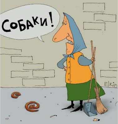 379x399, 13 Kb / собаки, говно, уборщица