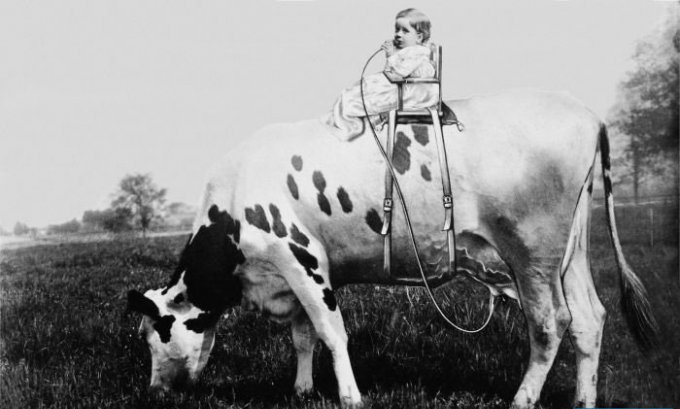 680x409, 49 Kb / корова, девочка, молоко, система