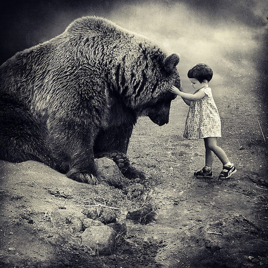 900x900, 277 Kb / девочка, медведь, ч/б