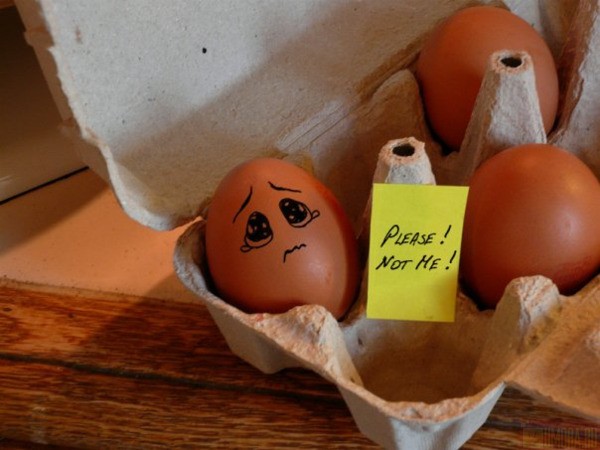 600x450, 57 Kb / яйца