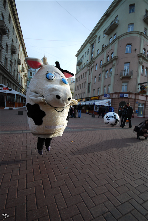 489x730, 244 Kb / корова