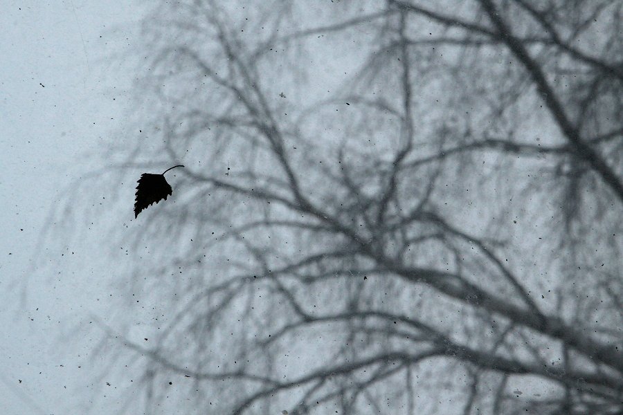 900x600, 97 Kb / лист