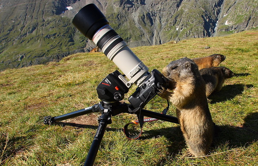 850x546, 263 Kb / фотоаппарат