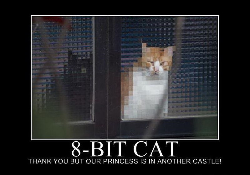 799x561, 76 Kb / цифровой кот