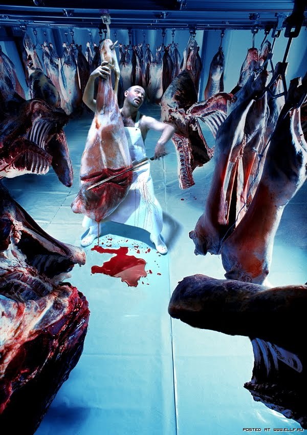 600x848, 142 Kb / мясник, виолончель, туша