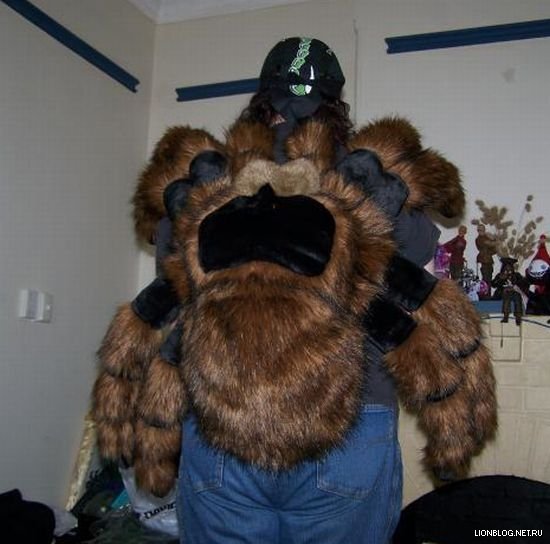 550x544, 48 Kb / паук, рюкзак