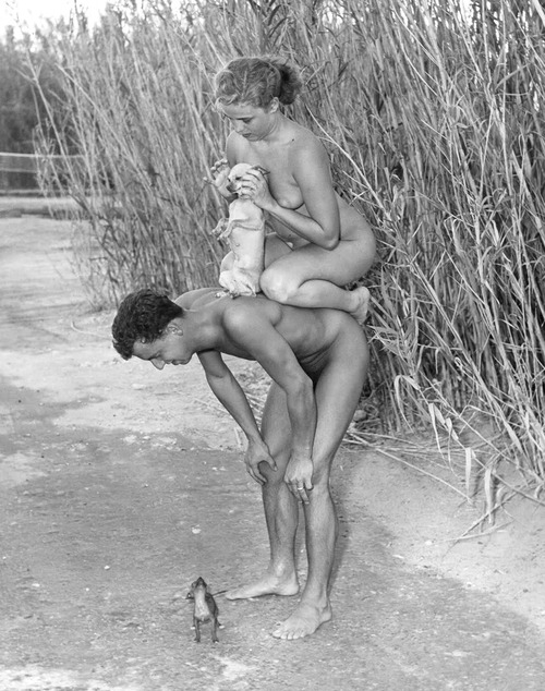 500x634, 133 Kb / ч/б, баба, мужик, собаки