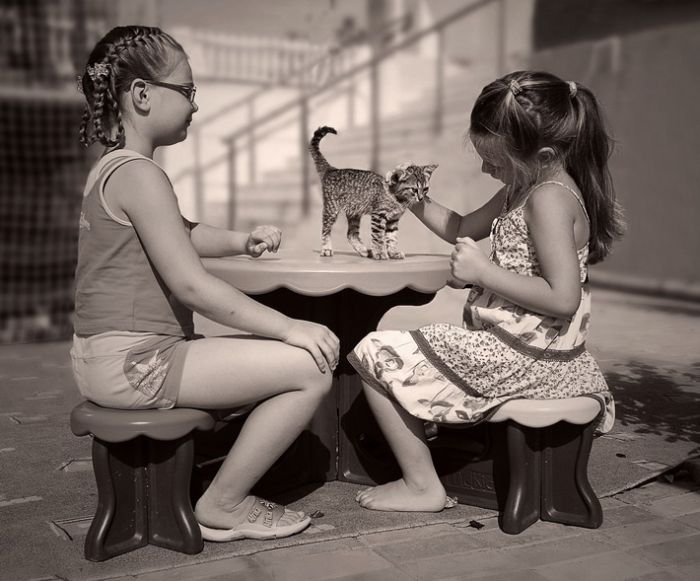 700x581, 72 Kb / котенок, стол, дети, ч/б