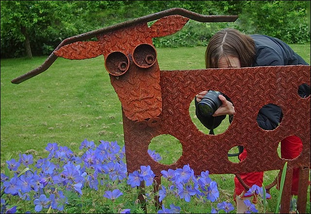 640x441, 109 Kb / корова, девушка, цветы, объектив, авангард