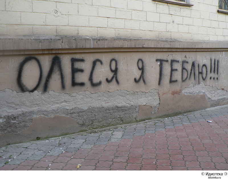 800x630, 197 Kb / идиотека, надпись, стена
