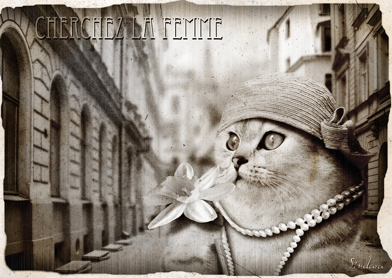 790x560, 212 Kb / кот, жемчуг, шляпка, винтаж, жаба