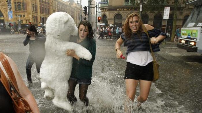 700x394, 54 Kb / наводнение, медведь