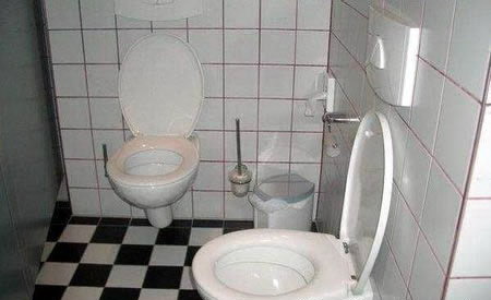 450x275, 26 Kb / туалет, горшки, дабл