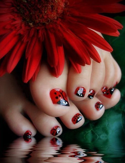 499x653, 69 Kb / ноги, цветок, лак, божья коровка