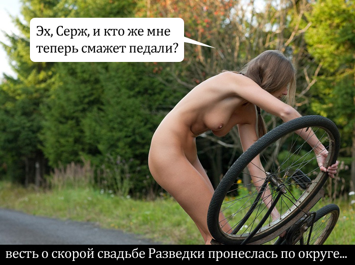 700x522, 150 Kb / велосипед