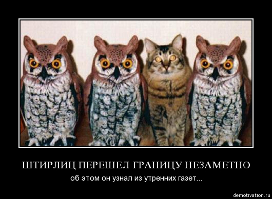 530x389, 92 Kb / кот, совы, шпион, демотиватор