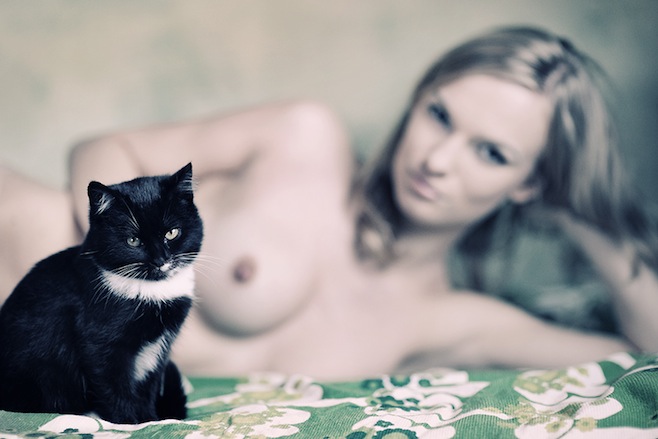 658x439, 63 Kb / блондинка, котэ, грусть