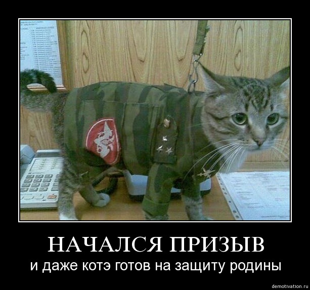 613x574, 72 Kb / кот, котэ, форма, демотиватор