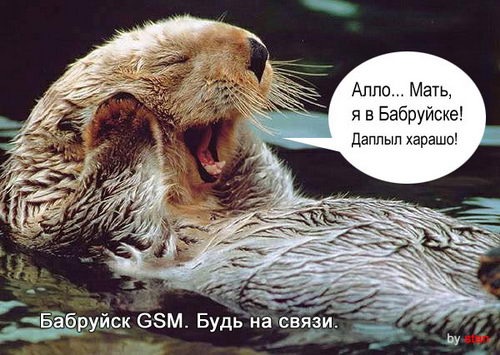 500x355, 54 Kb / бабруйск