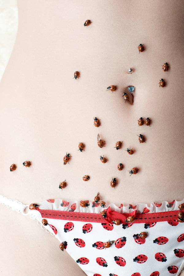 600x900, 85 Kb / коровки, тело