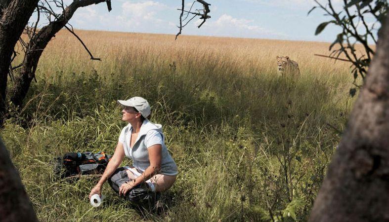 787x450, 84 Kb / львица