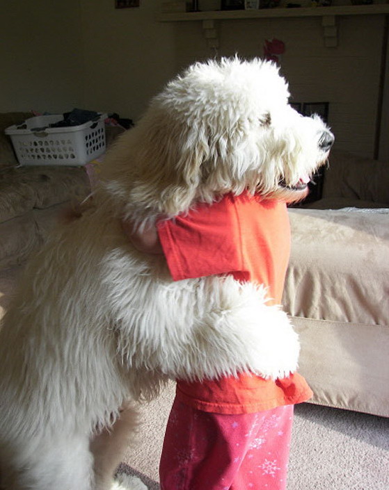 559x705, 98 Kb / собака, ребенок