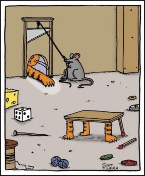 495x600, 41 Kb / гильотина, мышь, кот