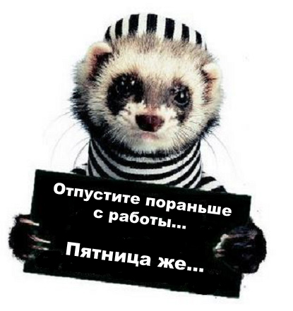 415x441, 86 Kb / заключенный, хорек, надпись, тюрьма, пятница