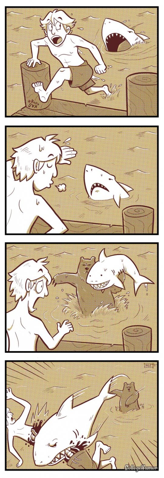 540x1572, 268 Kb / акула, медведь, внезапно