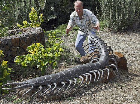 449x335, 66 Kb / многоножка