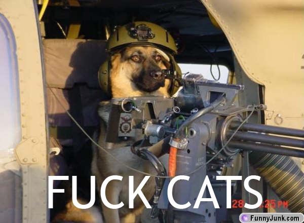 600x440, 60 Kb / собака, пулемет