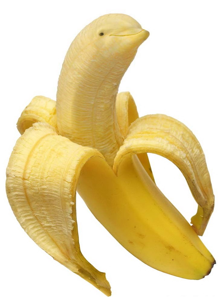 728x982, 113 Kb / банан, дельфин